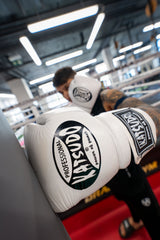 Katsudo box rukavice Profesional, biele
